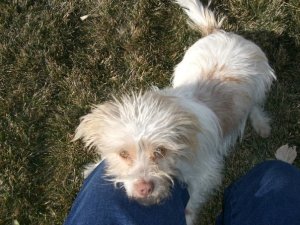 4278_1082734022382_801465_n[1]