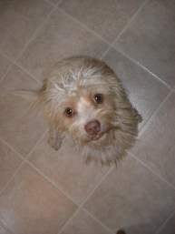 Bailey photo - 1st day