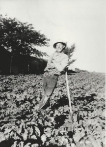 Dad in beet field