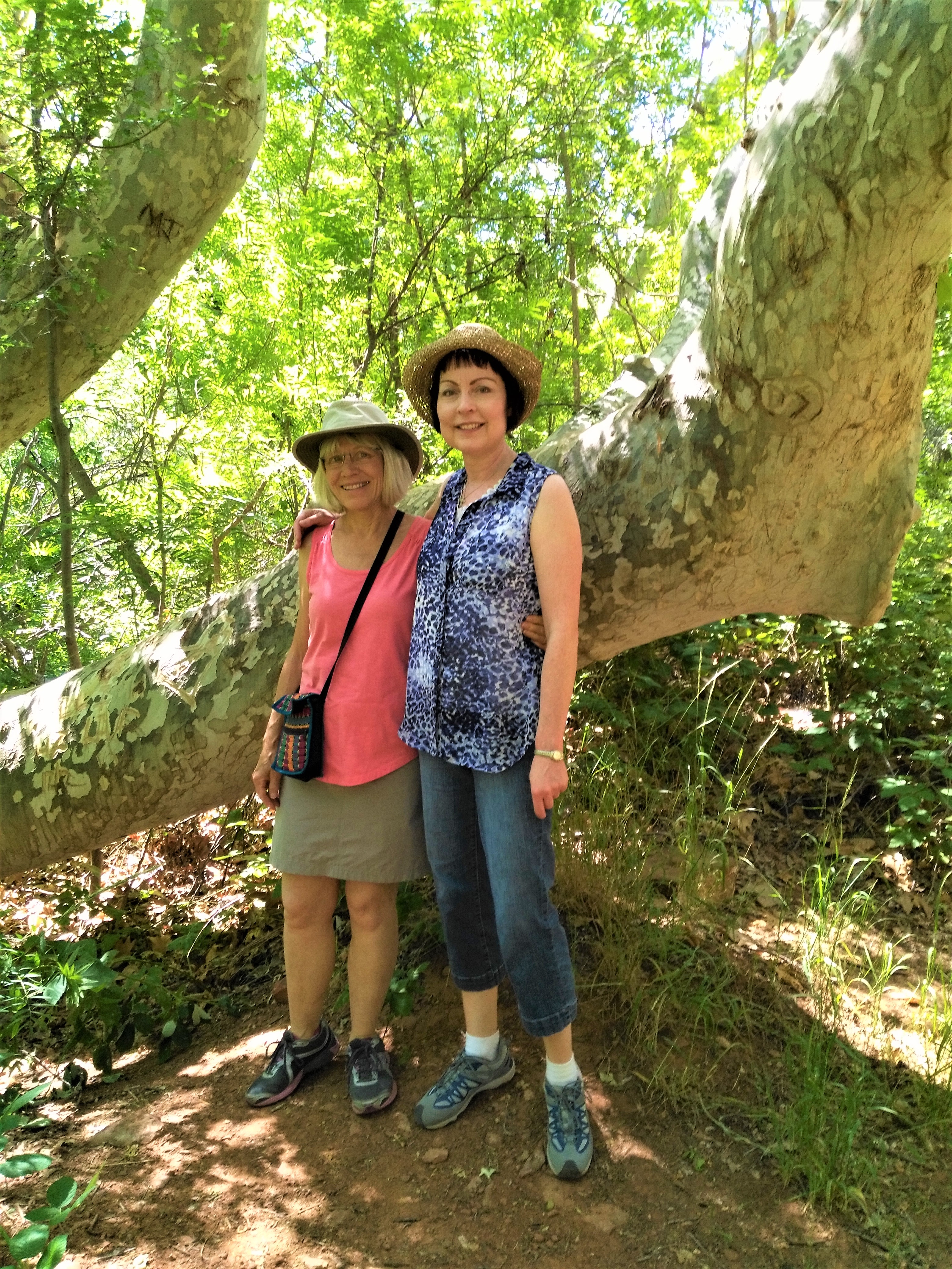 IMG_20170522_102316 (2)